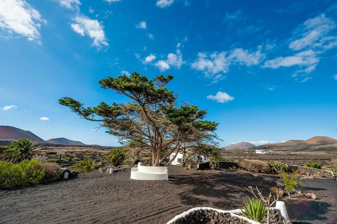 El Rincon Villa Masdache Holiday home